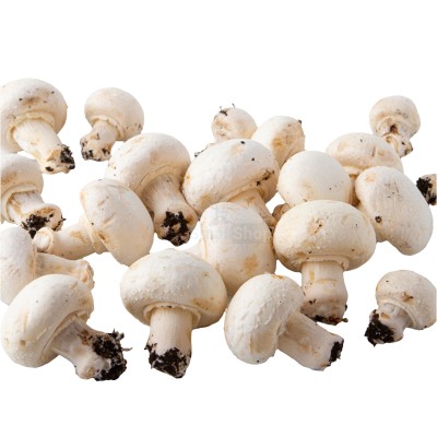 Шампиньоны свежие 500 г - купить в Нефтебазе